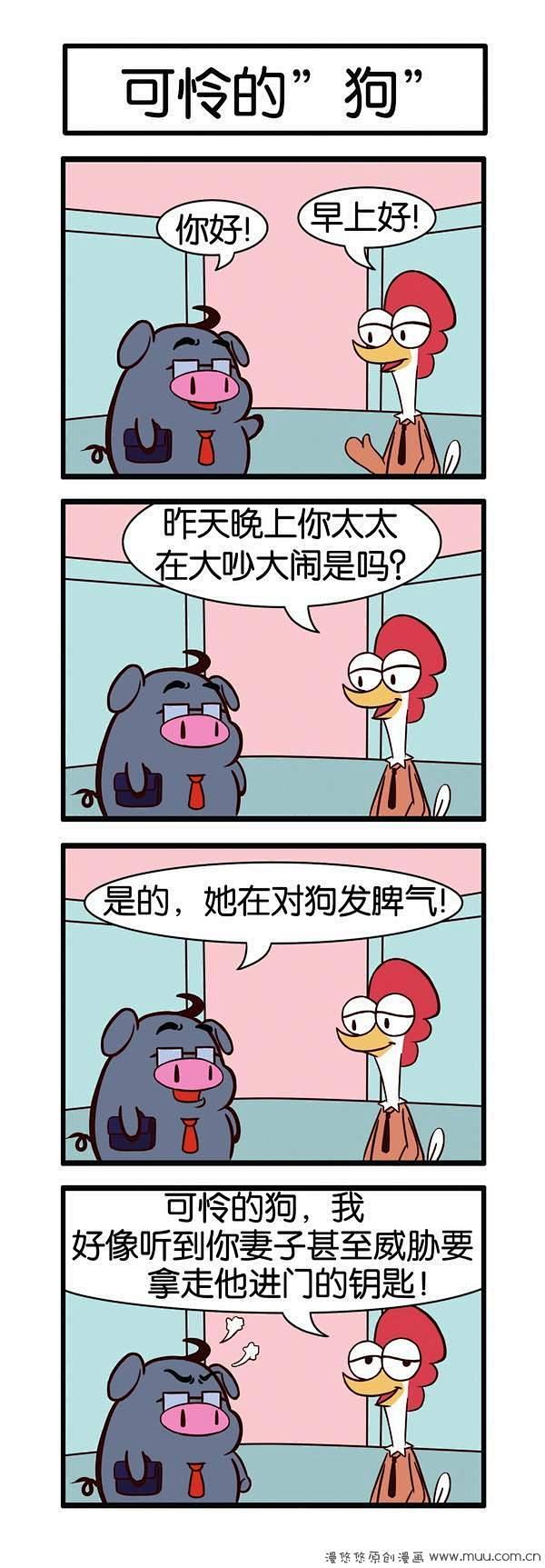 《奋斗鸡》（三）-四格漫画 奋斗鸡