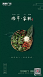 芒种 地产广告 海报
