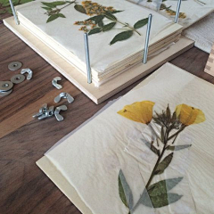♥Princess采集到手工坊DIY