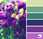 flora palette