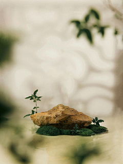 靠脸吃饭的美工采集到自然背景