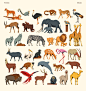 animals cartography city free infographic map Park Plan safari zoo