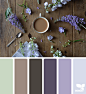 { color setting } image via: @grainandfeather