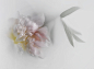 flower flowerpower Flowers macro Nature Photography  stillive studio underwater water