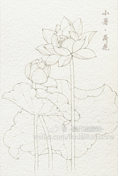 哐当采集到线稿
