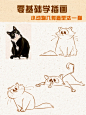 零基础插画教程｜小动物几何造型法—猫 - 小红书