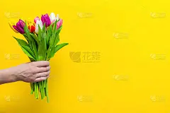 一束黄色背景的男子手中的鲜花。恭贺节日、3月8日情人节或生日。手里拿着五颜六色的郁金香。