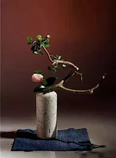 禅意