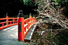 翌日雪采集到和风风景