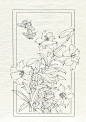 白描工笔画线稿（100_4）_1_鱼玉余_来自小红书网页版