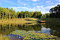 Duke Pond | Nelson Byrd Woltz