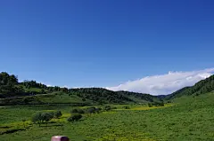 陕西宝鸡关山草原