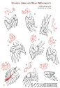 翅膀画法9