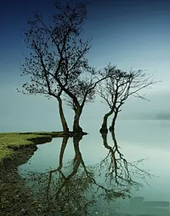 晨雾尽染两岸春，水天一色相依偎。一草一树一天堂，恰是踏春好地方。