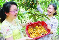 明天你会爱我吗采集到农家乐