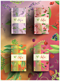 Şifa Tea Packaging : Şifa Meyve Çayları Ambalaj ve logo tasarımı