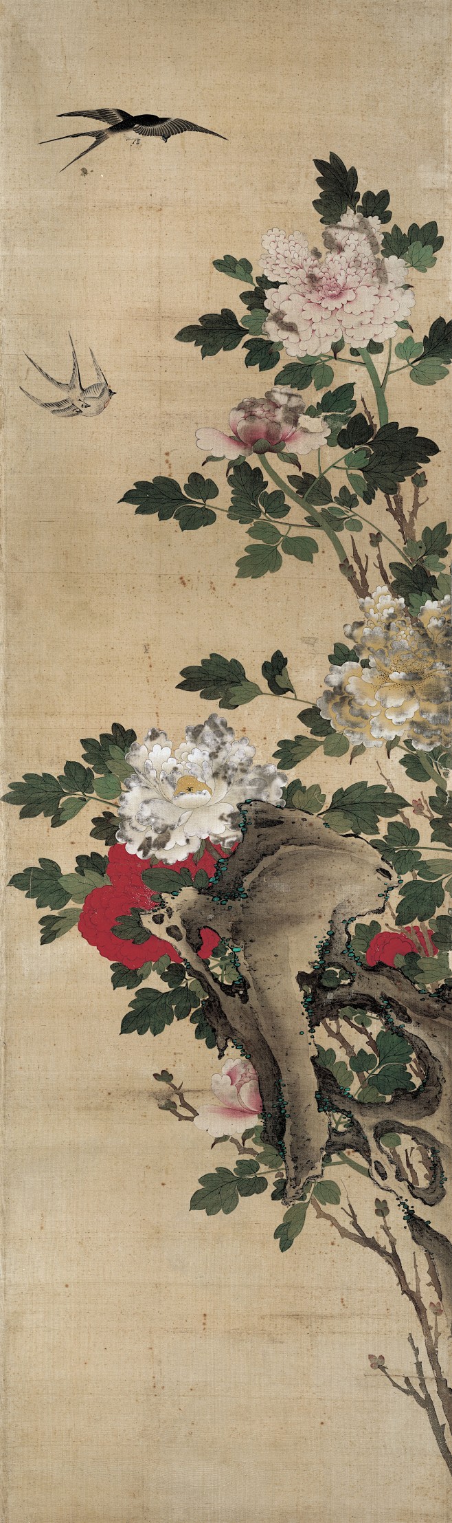 古画-花卉参考