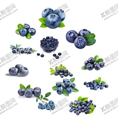 免抠蓝莓 【酷图网】蓝莓,野生蓝莓,新鲜蓝莓,精选蓝莓,蓝莓包装,蓝莓酱,蓝莓汁,蓝莓礼盒,蓝莓纸箱,蓝莓外箱,蓝莓彩箱,蓝莓酒,蓝莓酒包装,蓝莓果汁,蓝莓果汁包装,蓝莓设计,蓝莓包装设计,矮丛蓝莓,半高丛蓝莓,高丛蓝莓,兔眼蓝莓,蓝莓天地盖,蓝莓海报,蓝莓广告,蓝莓饮料包装,蓝莓酒礼盒