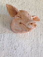 Smiling Piglet, Trophy Sculpture, Happy Pig, Personalized portrait : Smiling Piglet: pleasant wall sculpture in pink terracotta, perfect on the wall of a cottage. A smiling piglet is absolutely stunning and make a lovely statement piece on any wall. Measu