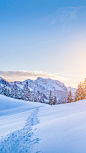 小寒节气祝福冬日飘雪实景手机海报