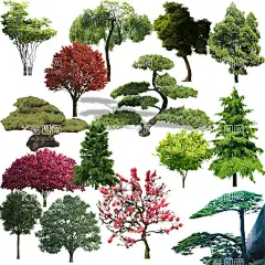 风景树  - 源文件下载【酷图网】树,树木,免抠,大树,绿树,橡树,红树,银杏,枫树,云杉,白杨,松树,黑杨,胡椒树,白蜡树,柳树,洋槐,樱花,榕树,光蜡树,毛果树,灌木,棕榈树,智南柏,柏树,榆树,榉树,装饰树,插画树,
