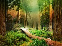 PS梦幻风景壁纸(壁纸4)