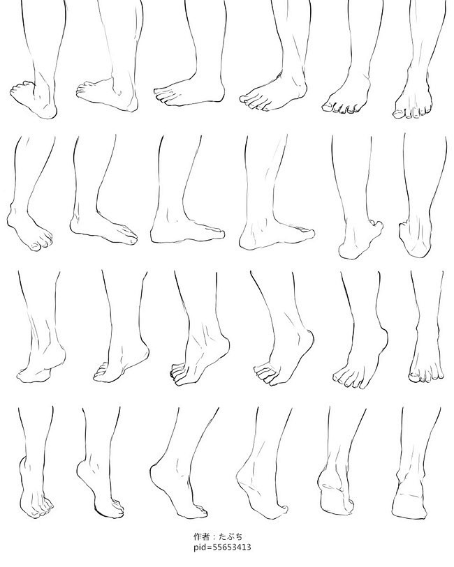 文章-人四肢、足、头部画法参考 | 半次...
