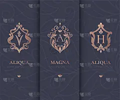 盾徽向量集。可用于珠宝、美容、时尚等行业。伟大的标志，字母组合，邀请，传单，菜单，小册子，背景，或任