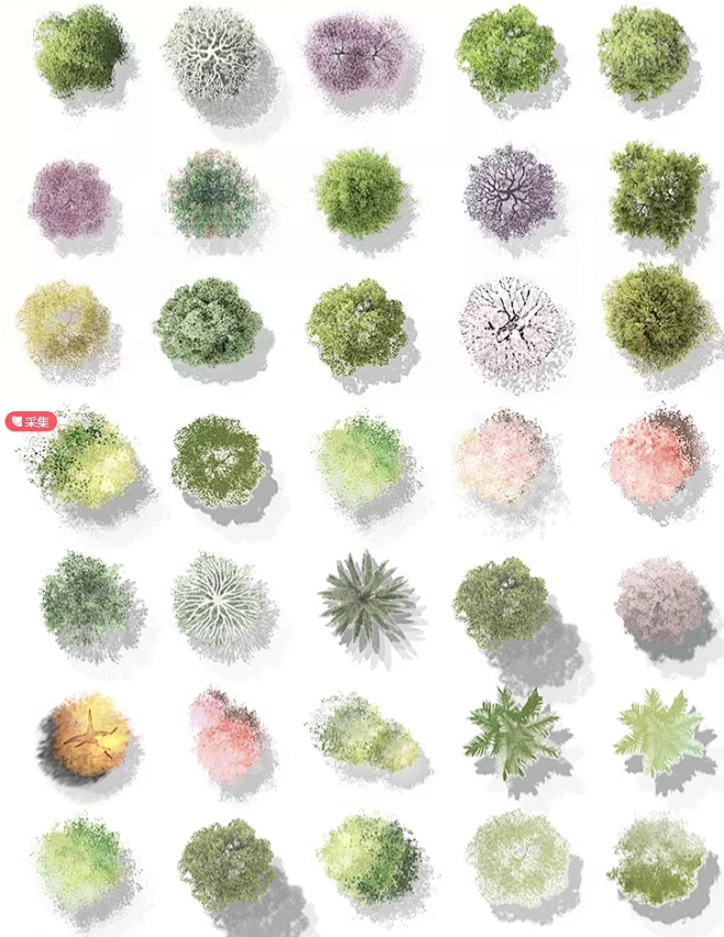 2024新PS小清新彩平植物psd分层素材建筑景观彩平植物ps免扣素材-花瓣网