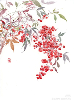 4042007采集到土鳖中国风花