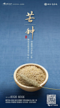 芒种 地产广告 地产资源库
