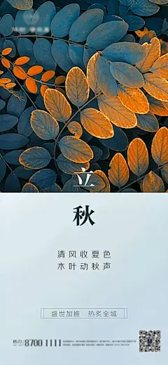 【源文件下载】 海报 房地产 二十四节气 立秋 简约 157522