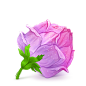 紫色的玫瑰花图标 iconpng.com #Web# #UI# #素材#