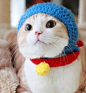 我是叮铛猫，瞄〜 国外网站推荐：www.egouz.com