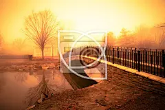 morning light and fog over pond with footbridge #湖 / 塘#