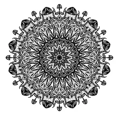 【AI教程！手把手教你创建繁复之美的曼陀罗纹理】记得上次的英文教程吗，这俩天@_因塔利坚 同学给编译完成了，效果超酷炫，很久木有发AI教程了，今天这篇不错，直接上手练习→O网页链接