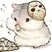 Lemomcat