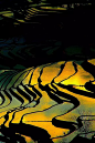 元阳梯田位于云南红河州元阳县的哀牢山南部，元阳梯田主要包括坝达、老虎嘴和多依树三大景区，连片的上万亩梯田，在茫茫森林的掩映中，在漫漫云海的覆盖下，构成了如诗如画、美轮美奂、神奇壮丽的景观。