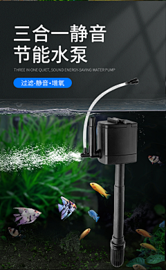舞assume采集到宠物