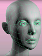 d74efdfad566008c81d3e1630e2d6493