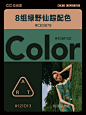  审美提升｜8组绿野仙踪配色｜附画面参考 - 小红书