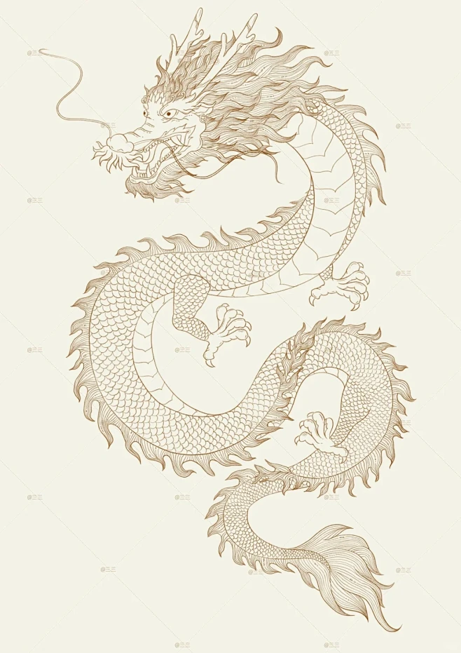 画了条国风龙的线稿｜龙线稿 - 小红书-花瓣网