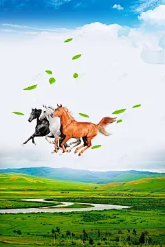 草原印象海报背景 设计图片 免费下载 页面网页 平面电商 创意素材