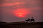 作品浏览—中国摄影报 作品名称：牧童唱晚 作品描述：牧童骑着骆驼，悠悠然且歌且行。 拍摄地点：奈曼旗白音他拉沙漠 拍摄时间：2012-07-05 作品作者：175865561