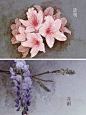 二十四节气花卉图…丨墦索 绘