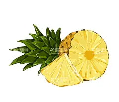 菠萝插画元素    - 源文件下载【酷图网】菠萝,凤梨,水果,菠萝插画,水果插画,手绘菠萝,手绘水果,凤梨插画,手绘凤梨,新鲜水果,原创插画,菠萝水彩画,新鲜菠萝,水果水彩画