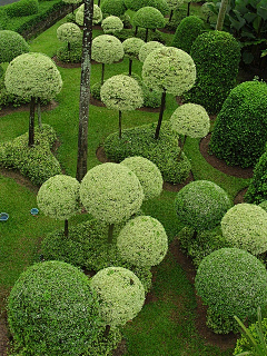 kyuna采集到那一抹绿