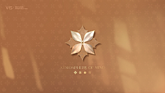 方宇Uncle采集到VI品牌提案