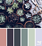 succulent tones