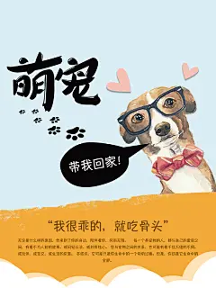 领养宠物奉献爱心促销宣传公益活动海报